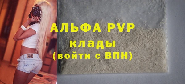 прущие грибы Иннополис
