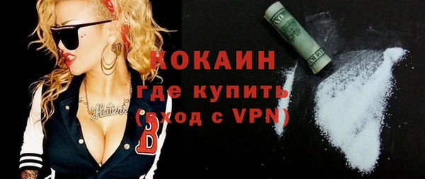 Альфа ПВП Инсар