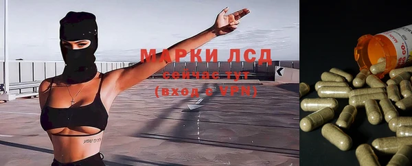 Альфа ПВП Инсар