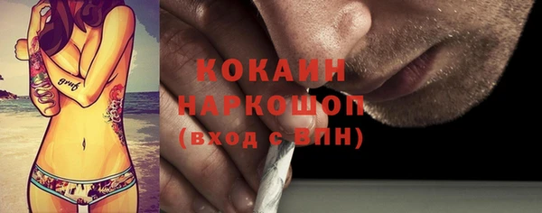 ПСИЛОЦИБИНОВЫЕ ГРИБЫ Инта