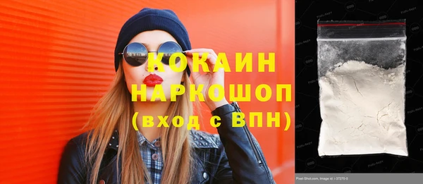 Альфа ПВП Инсар