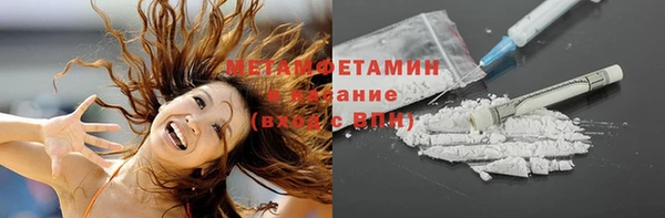 прущие грибы Иннополис
