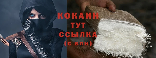 прущие грибы Иннополис