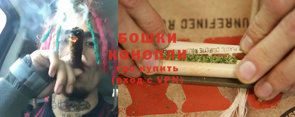 ПСИЛОЦИБИНОВЫЕ ГРИБЫ Инта