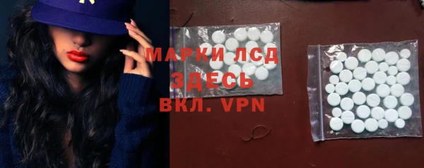 ПСИЛОЦИБИНОВЫЕ ГРИБЫ Инта