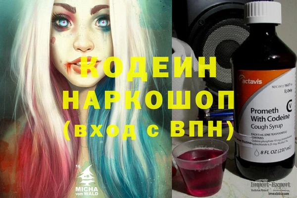 прущие грибы Иннополис