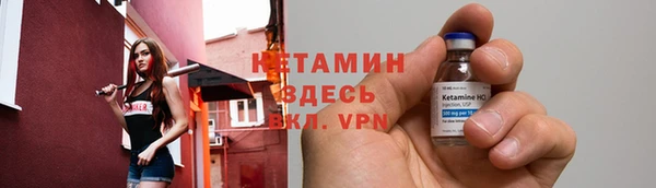 прущие грибы Иннополис