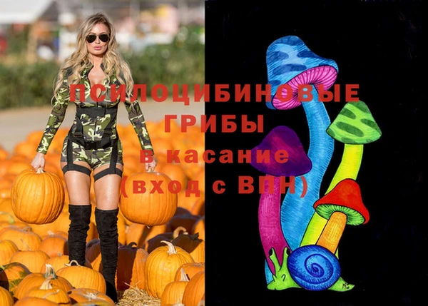 ПСИЛОЦИБИНОВЫЕ ГРИБЫ Инта