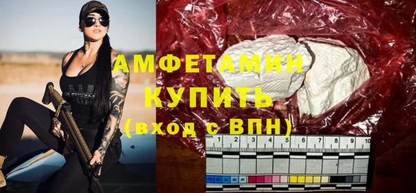 прущие грибы Иннополис