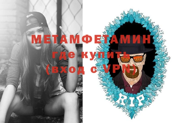 прущие грибы Иннополис