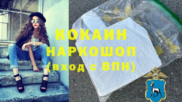 Альфа ПВП Инсар