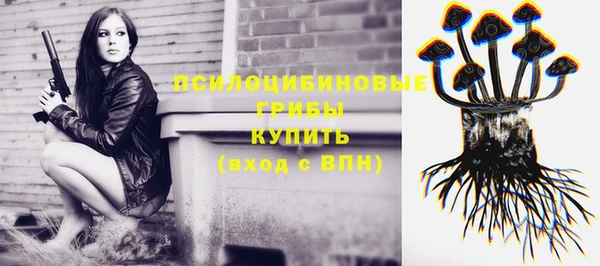 ПСИЛОЦИБИНОВЫЕ ГРИБЫ Инта