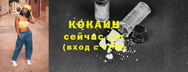 ПСИЛОЦИБИНОВЫЕ ГРИБЫ Инта