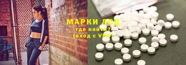 ПСИЛОЦИБИНОВЫЕ ГРИБЫ Инта