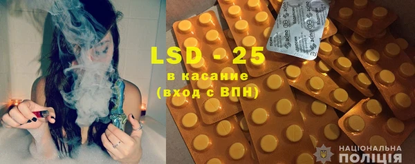 ПСИЛОЦИБИНОВЫЕ ГРИБЫ Инта