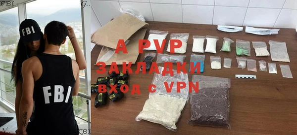 прущие грибы Иннополис
