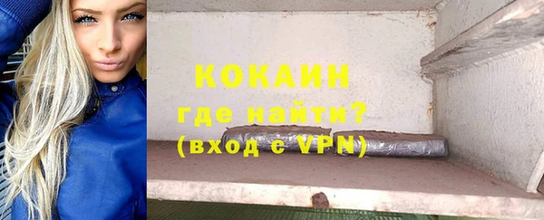 ПСИЛОЦИБИНОВЫЕ ГРИБЫ Инта