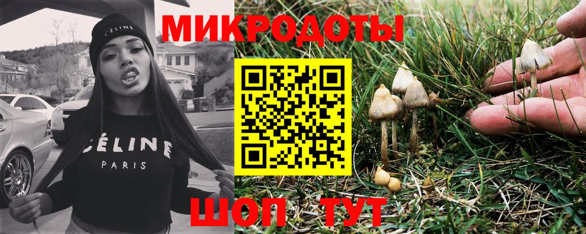 Галлюциногенные грибы Magic Shrooms Муром